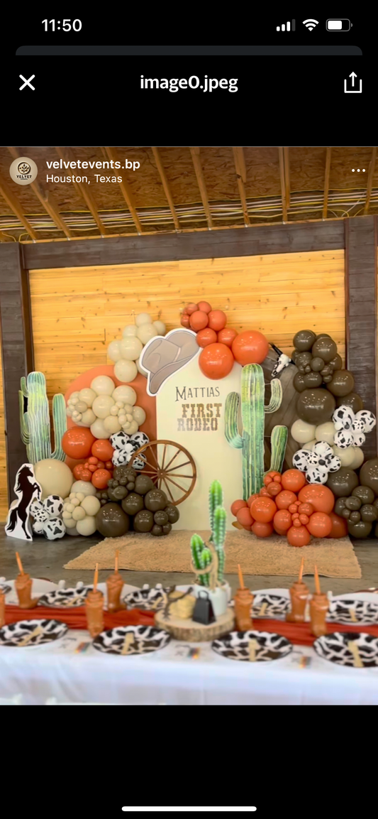 1st Rodeo birthday custom shirts