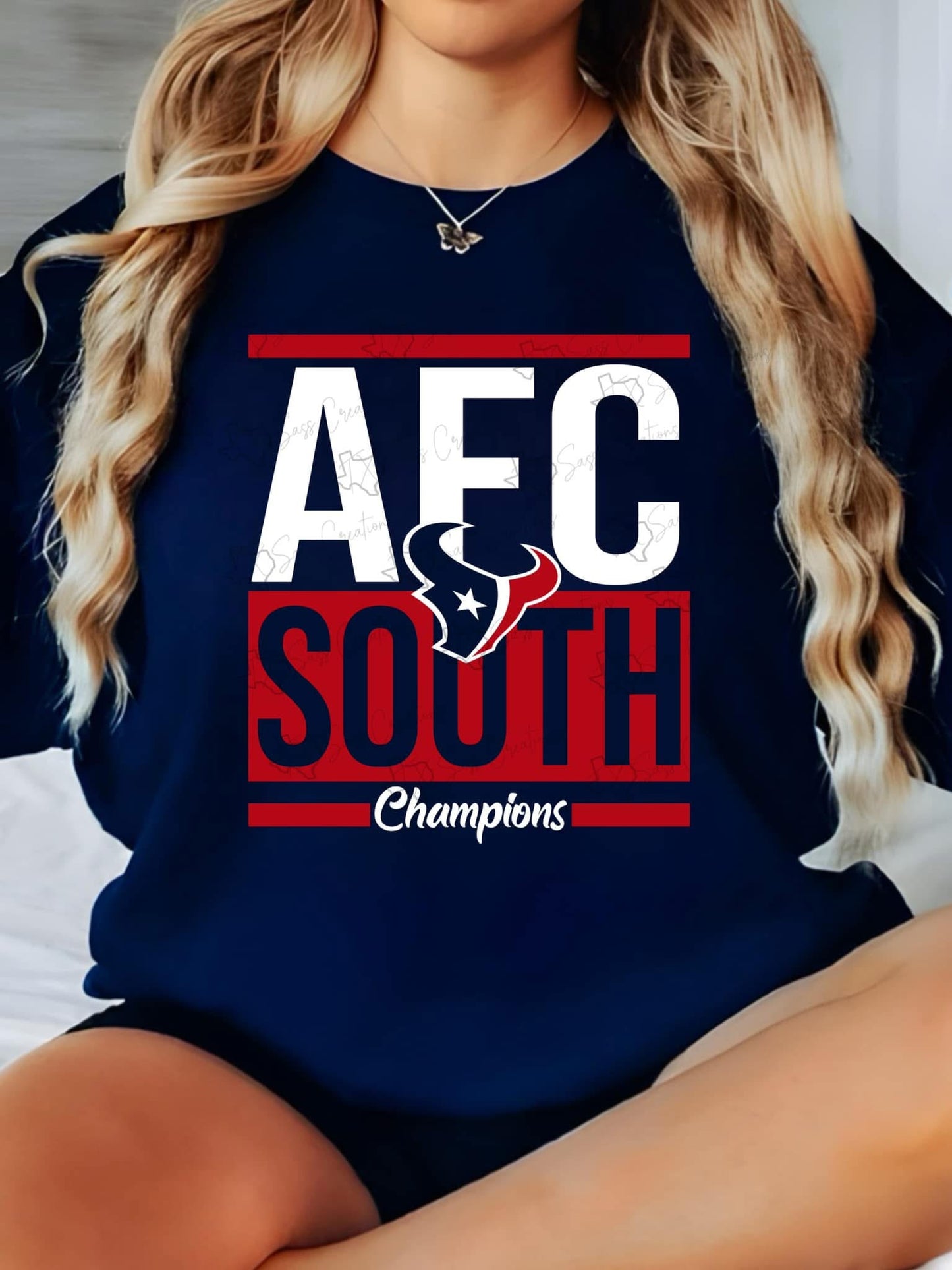 AFC South (Texans)