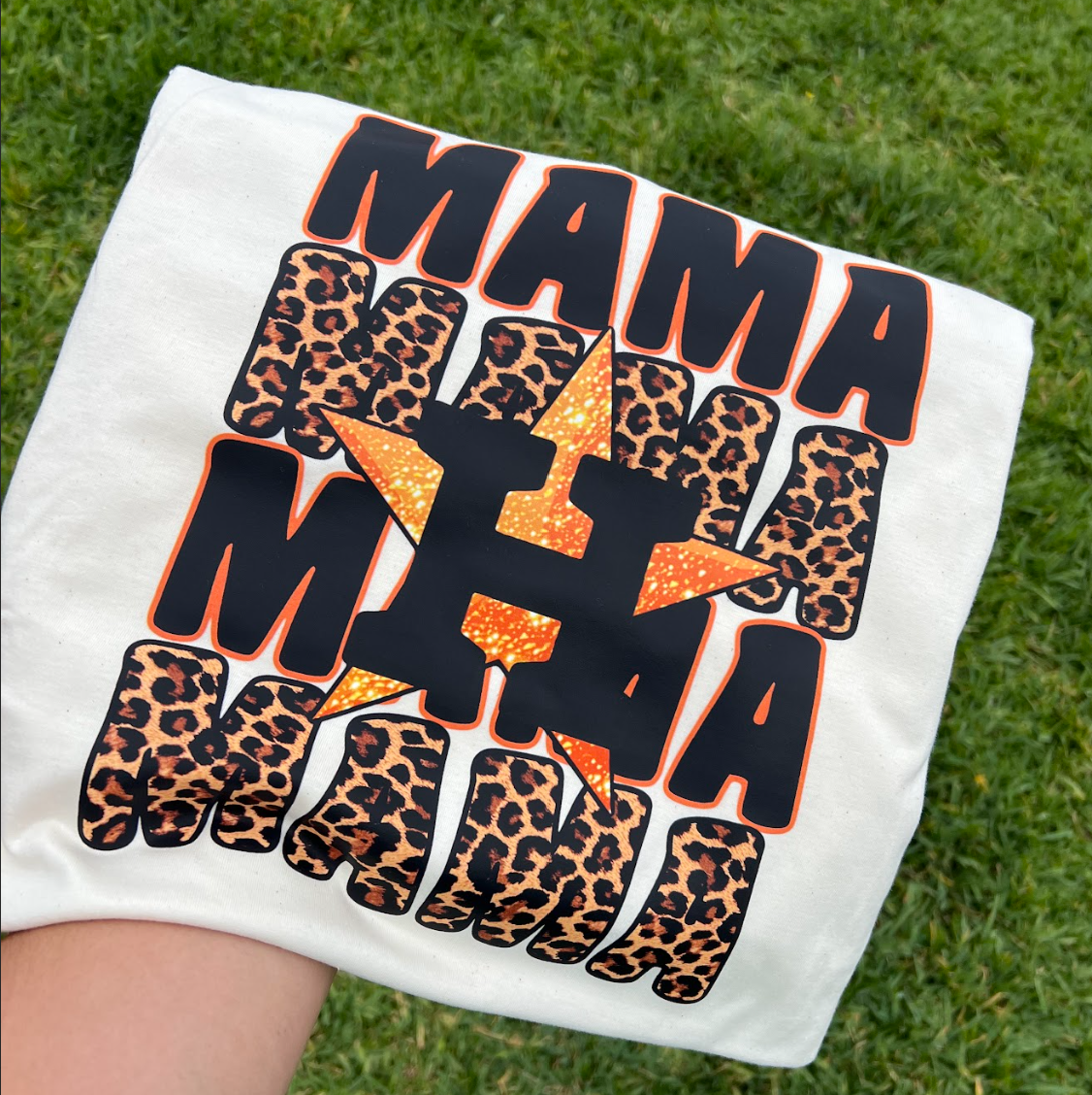 Astros cheetah Mama