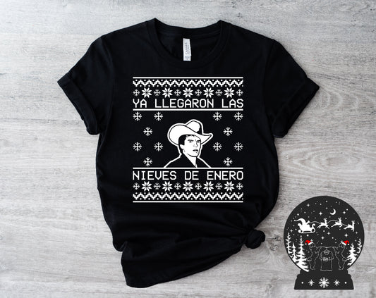 Llegaron las Nieves de Enero